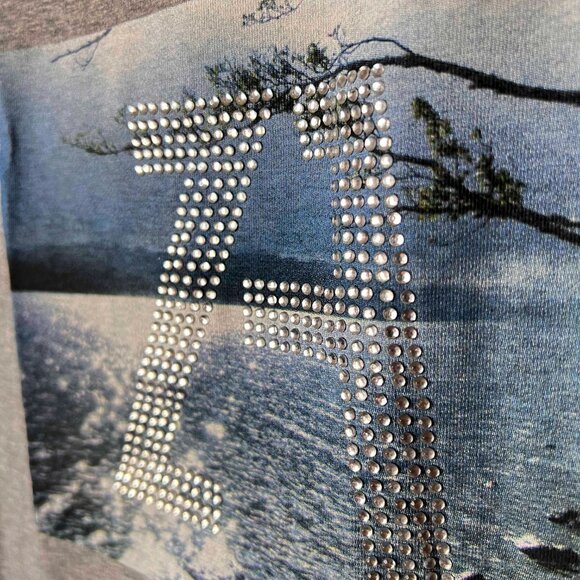 ZARA Collection BNWT Grey Silkscreened Tee with crystal embelishments Size Small - Picture 2 of 6